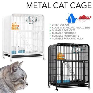 (Category: ) located in . Submitted by petsjoyland (Listing ID 1352790349, Image 1). Description: .