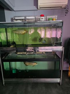 (Category: ) located in . Submitted by wildforest_ae0a78 (Listing ID 1352726370, Image 1). Description: .