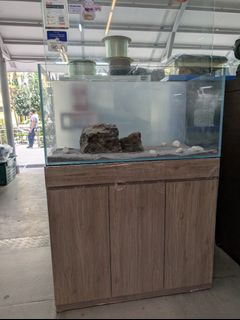(Category: ) located in . Submitted by eastoceansg (Listing ID 1352744261, Image 1). Description: .
