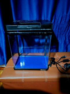 (Category: ) located in . Submitted by oxenbulk (Listing ID 1352772903, Image 1). Description: .