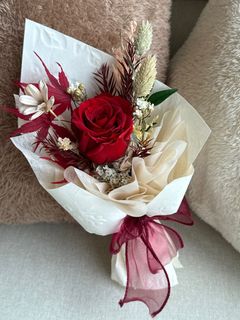(Category: ) located in . Submitted by plantflorapy (Listing ID 1352747371, Image 1). Description: .