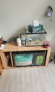(Category: ) located in . Submitted by sarahong2012 (Listing ID 1352945375, Image 1). Description: .
