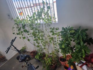 (Category: ) located in . Submitted by suthan.sk (Listing ID 1352951703, Image 1). Description: .