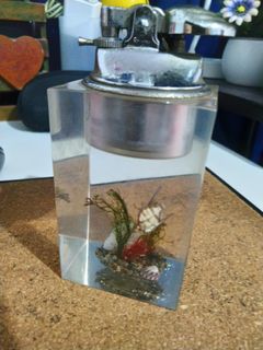 (Category: ) located in . Submitted by jnavarro86801 (Listing ID 1352986193, Image 1). Description: .