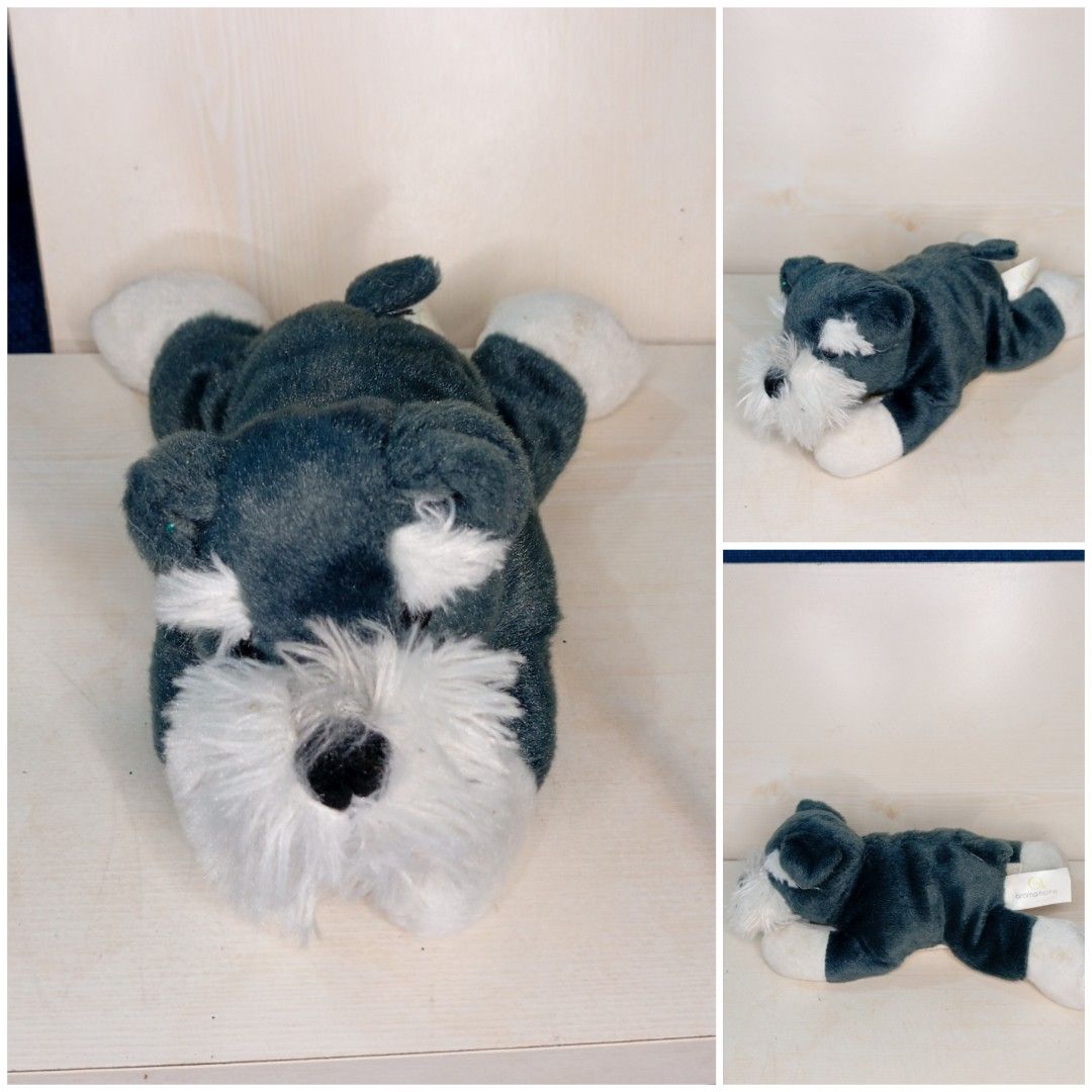 21cm Schnauzer gray dog stuffedtoys (Category: Plushies & Soft Toys) located in Echague. Submitted by manikaisabelavarietyshop (Listing ID 1353060652, Image 1). Description: 21cm Schnauzer gray dog stuffedtoys.