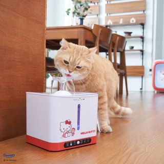 (Category: ) located in . Submitted by meowingchoo (Listing ID 1353202634, Image 1). Description: .