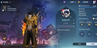 Solo Leveling Good For End Game Account
