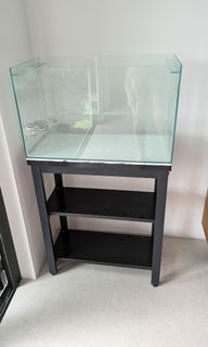 (Category: ) located in . Submitted by greenplants_2 (Listing ID 1353321157, Image 1). Description: .