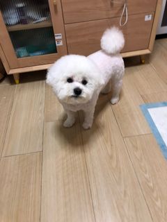 （分類：）位於 。 由 littlecling 提交（商品編號 1353303559，圖片 1）。簡介： 。