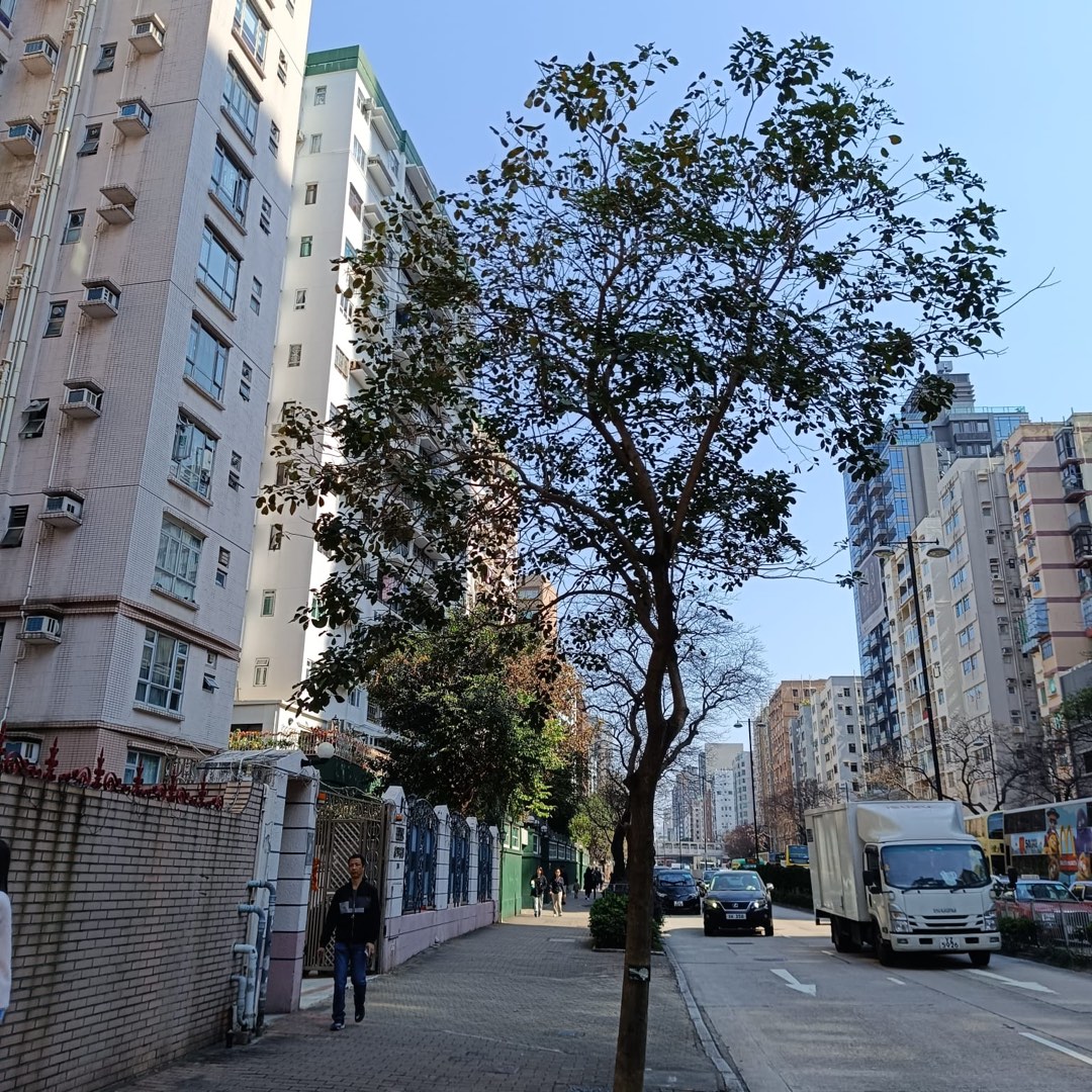 無蓋車位63437681145091113