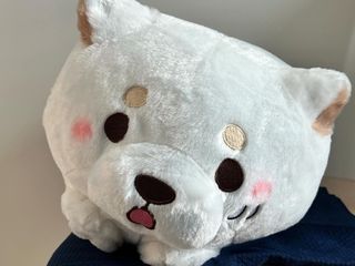 （分類：）位於 。 由 kitty098005 提交（商品編號 1353285720，圖片 1）。簡介： 。