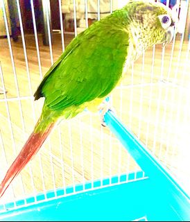 (Category: ) located in . Submitted by liuliu4567 (Listing ID 1353262835, Image 1). Description: .