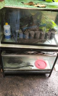 (Category: ) located in . Submitted by carolcornes (Listing ID 1353217507, Image 1). Description: .