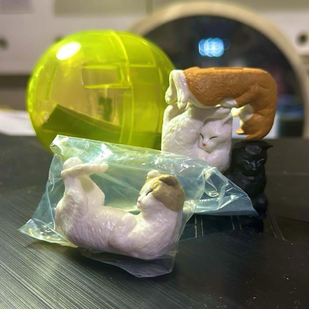 gacha tetris cat gachapon (Category: Designer & Blind Box Toys) located in Quezon City. Submitted by ndsvk (Listing ID 1353380515, Image 1). Description: sealed, with capsule.