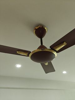 (Category: ) located in . Submitted by kirant (Listing ID 1353503025, Image 1). Description: .
