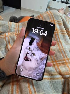 （分類：）位於 。 由 yyvonneyip 提交（商品編號 1353467717，圖片 1）。簡介： 。