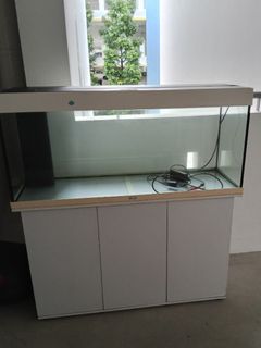 (Category: ) located in . Submitted by ang.peiwen (Listing ID 1353310959, Image 1). Description: .