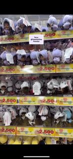 (Category: ) located in . Submitted by 21pandas (Listing ID 1353587244, Image 1). Description: .