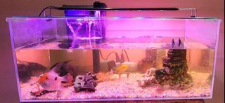 (Category: ) located in . Submitted by jaicarous (Listing ID 1353757516, Image 1). Description: .