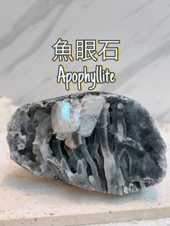 （分類：）位於 。 由 jms_jimusho 提交（商品編號 1353733840，圖片 1）。簡介： 。