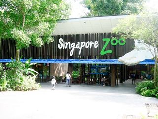 (Category: ) located in . Submitted by singapore.attractions (Listing ID 1353621928, Image 1). Description: .
