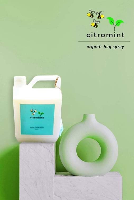 Citronella (Category: Insect Repellents) located in Quezon City. Submitted by marjoretz (Listing ID 1353865037, Image 3). Description: Put an extra protection from mosquito bites with an all plant based bug repellant spray. Try our Citromint, a mixture of citronella, peppermint and neem oils. Smells good, safe and effective 🌿☺️ #DengueAwareness.