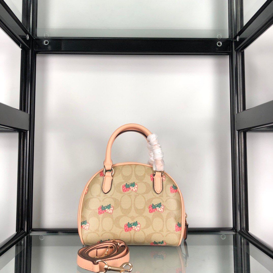 Coach Shell Pattern Bag COACH Sydney Satchel Shell Bag for Woman >*- CA591-*