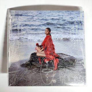 王菲Faye Wong Di Dar 日本版黑膠LP, 興趣及遊戲, 音樂、樂器& 配件