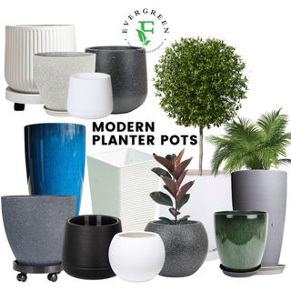 (Category: ) located in . Submitted by evergreen_gardening (Listing ID 1353836527, Image 1). Description: .