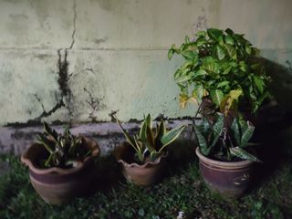 (Category: ) located in . Submitted by lkyew (Listing ID 1353941145, Image 1). Description: .