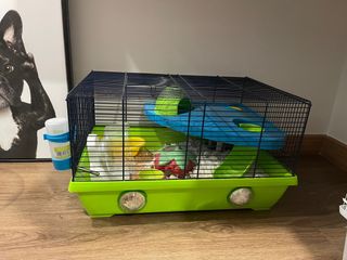 (Category: ) located in . Submitted by goldhats (Listing ID 1350892944, Image 1). Description: .