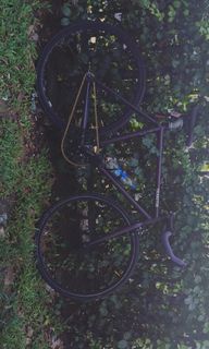 (Category: ) located in . Submitted by mudryan31 (Listing ID 1350865840, Image 1). Description: .