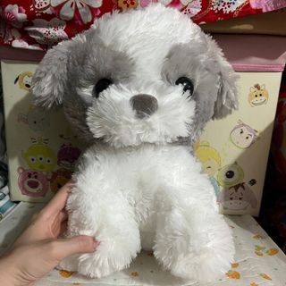 （分類：）位於 。 由 ppbubblepp 提交（商品編號 1354051114，圖片 1）。簡介： 。