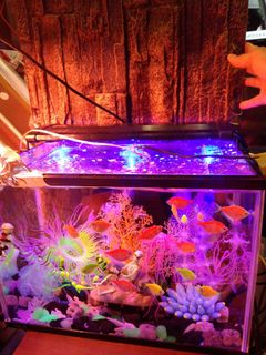 (Category: ) located in . Submitted by robinandysam (Listing ID 1354143994, Image 1). Description: .