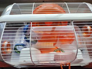 (Category: ) located in . Submitted by rkpjs (Listing ID 1354085199, Image 1). Description: .