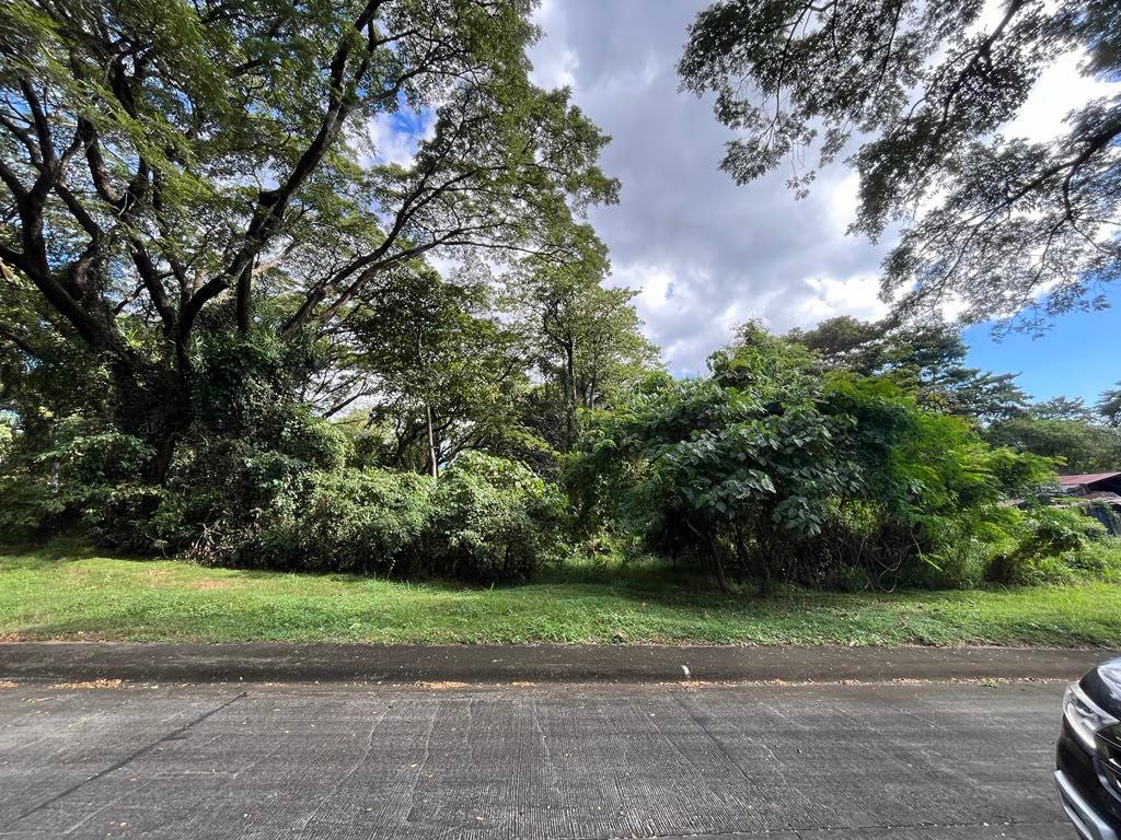 (Category: ) located in . Submitted by annagarcia.ph (Listing ID 1354022412, Image 1). Description: .