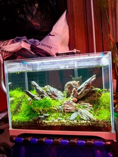 (Category: ) located in . Submitted by robinandysam (Listing ID 1354144451, Image 1). Description: .