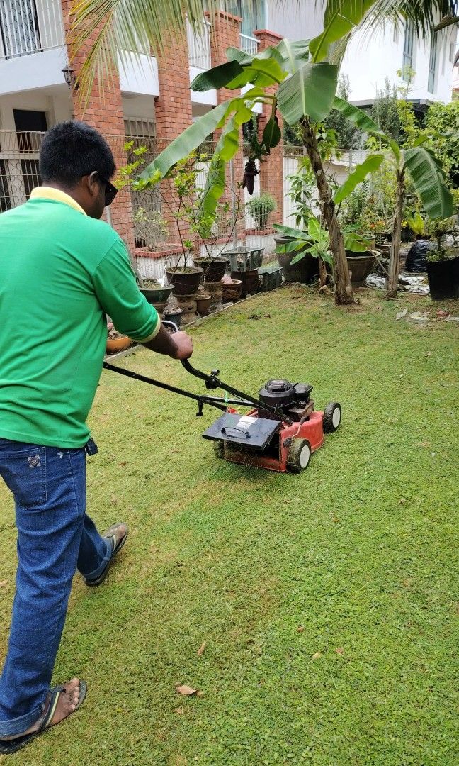 Professional Grass cutting wp 9688132964884978735363111