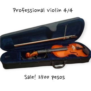 Professional violin 4/4