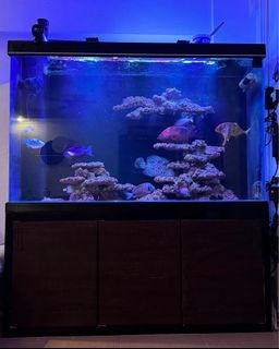 (Category: ) located in . Submitted by xn1220 (Listing ID 1354080381, Image 1). Description: .