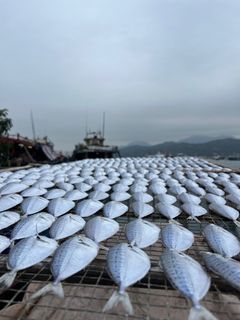 （分類：）位於 。 由 suenstep83225 提交（商品編號 1354506219，圖片 1）。簡介： 。