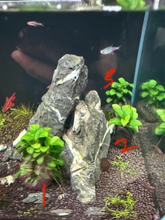 (Category: ) located in . Submitted by fishyyyki (Listing ID 1354442317, Image 1). Description: .