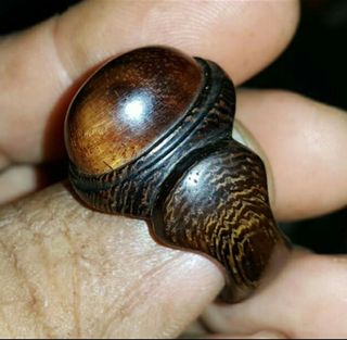 (Category: ) located in . Submitted by dayone (Listing ID 1354369205, Image 1). Description: .