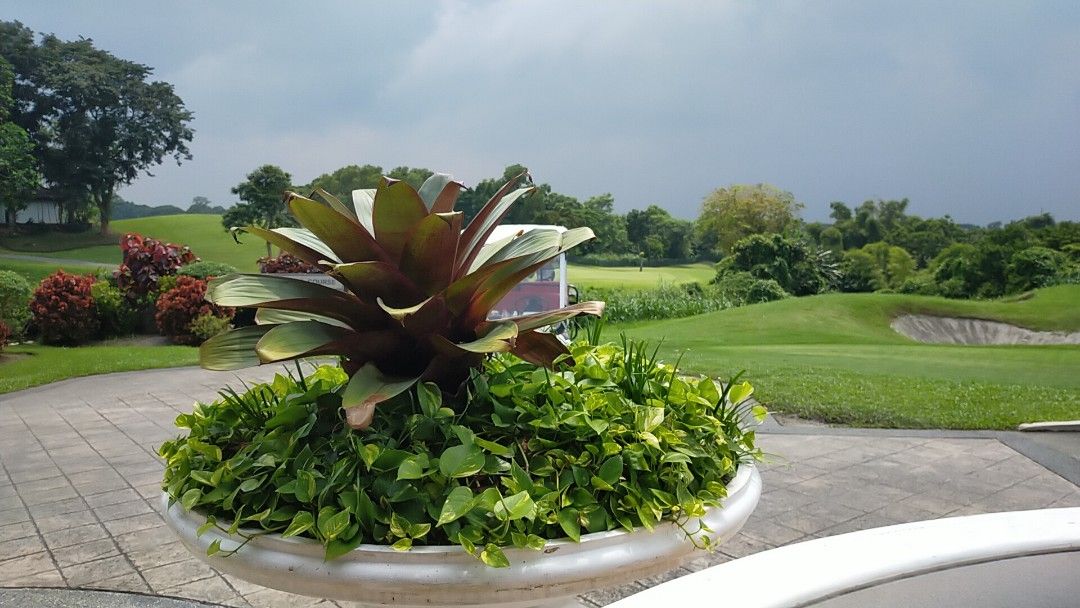 Eagle ridge lot for sale (Category: Lot) located in Pasay City. Submitted by aimeyalonsabe-81385 (Listing ID 1354493213, Image 1). Description: Resale main road north Blvd corner of the alley lot 457sqm Block 7 lot 27 Located at Eagle Ridge golf course and residential and commercial General Trias Cavite Features and Amenities: Four Residential Enclaves: * American * Australian * British * Japanese Townhouses Golf Villas School Hotel Town Center M