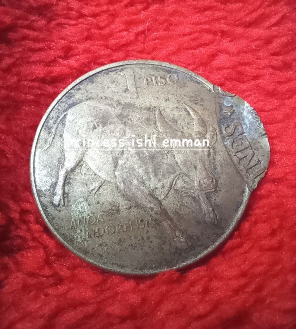 1p Doubke Denomination Error (Category: Currency) located in Muntinlupa City. Submitted by voltlovebird (Listing ID 1354638154, Image 2). Description: sale plus sf. 1p 1985 coin and Imelda marcos coin. error coin doyble denomination..