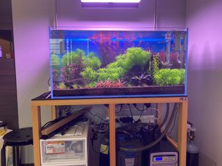 (Category: ) located in . Submitted by dendenng (Listing ID 1354582268, Image 1). Description: .