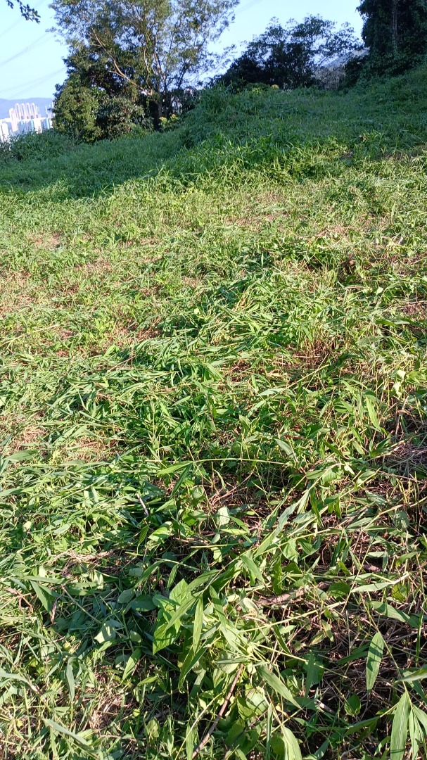 近觀塘農地出售, 近巴士站邊64141669400067111