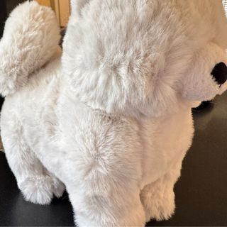 (Category: ) located in . Submitted by marketplce (Listing ID 1354573309, Image 1). Description: .