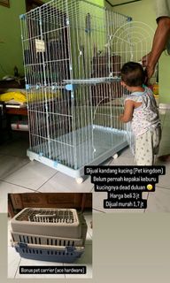 (Kategori: ) berada di . Dikirim oleh vikyucloud39596 (ID iklan 1354565661, Gambar 1). Deskripsi: .