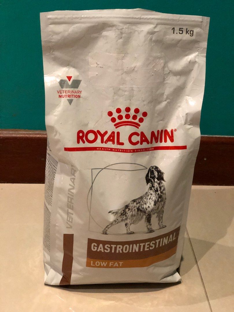Royal Canin Gastrointestinal Dog Food (1.5 kg pack), Pet Supplies, Pet ... - Royal Canin Gastro Intestinal Dog Food For Medium Size Breed Dogs